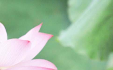 ����Ψ���̾����㣨15ƪ��