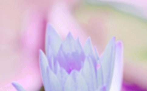 ���������ľ���15ƪ[��]