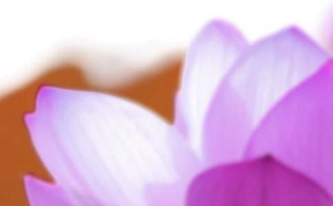 ���������ĺ���ͷ�����ʲô