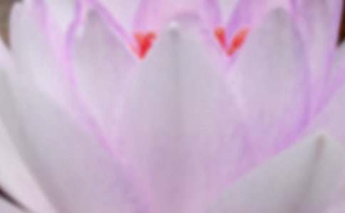 ���������ʺ�