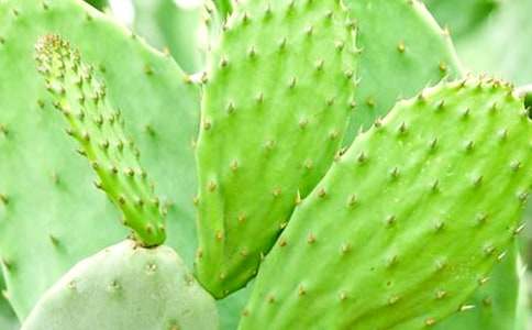 ����������14ƪ�����㡿