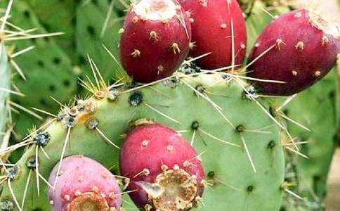 ���ȡ������ƹ۲��ռ�