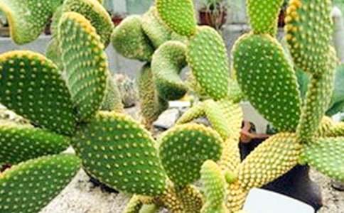 ���������ġ��ر�15ƪ��