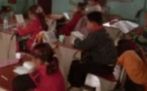 美丽的乡村小学作文650字