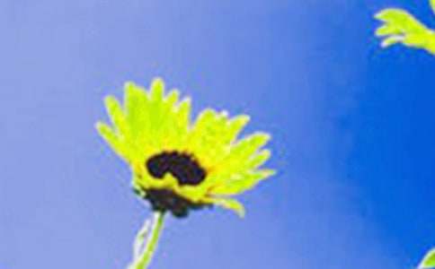 ����ѡ��д���տ�������