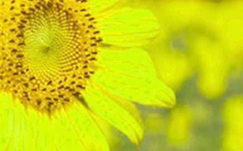 д���տ������ġ����š�