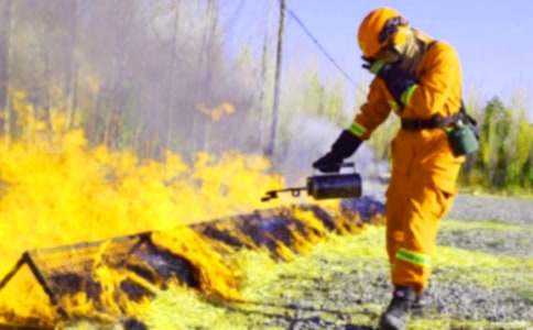 (推荐)消防演练计划