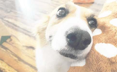 �����Ҽ�С������500�ֽ���10ƪ