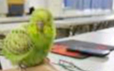 [����]С����������2ƪ