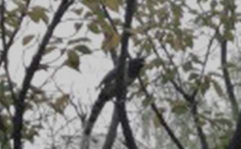 �۲�С����ռ�