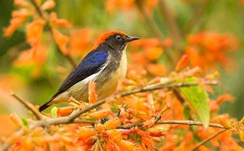 ��һֻС�񡷶����12ƪ