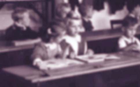 小学生保护小动物的作文