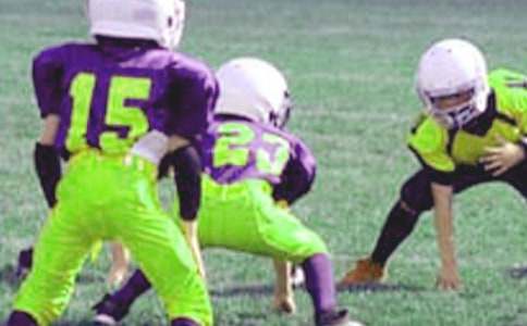 三年级小学生写景作文