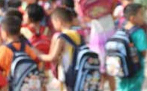 ����ѡ��Сѧ�������������ƪ