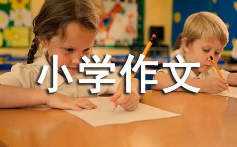 关于小学作文600字3篇