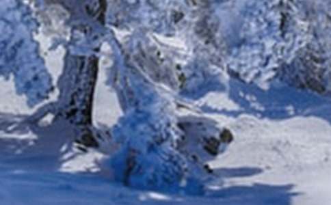 Сѩ��ů�ľ���