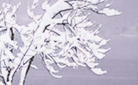 2026��Сѩ�ʺ������39��