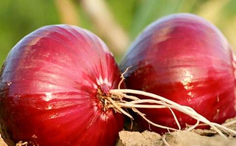 �����ͷ���ռǡ������(ͨ��15ƪ)