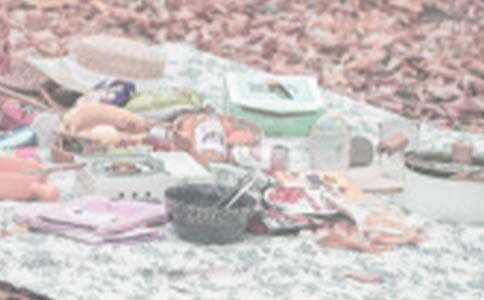 �̰���С����Ұ��