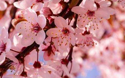 ����ӣ����ʫ���ȫ