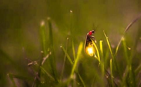 ө���֮Ĺ�ۿ��ĵ�