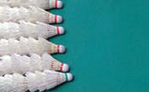 小学三年级打羽毛球作文大全