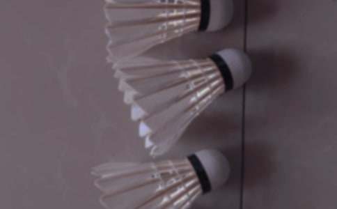 打羽毛球_小学生六年级作文