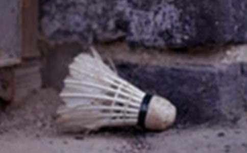 ����ë�����ļ���(15ƪ)