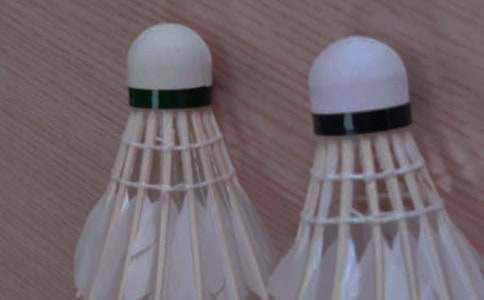 ��ë���ѧ�ƻ�15ƪ���ر���