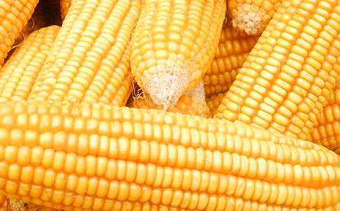 �Ұ��������������