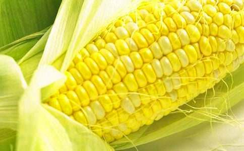 ���ر�������������15ƪ