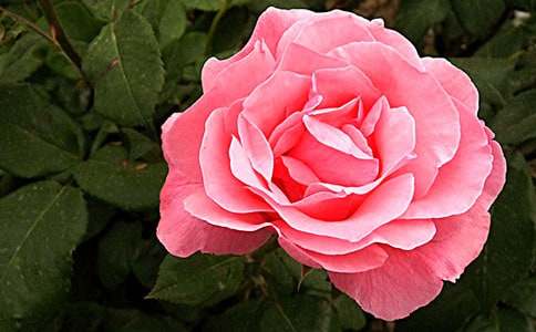 �����ܵ��¼�����1000��