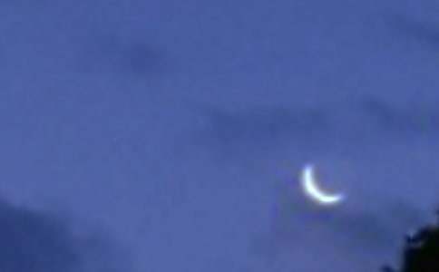 月亮与六便士读后感(15篇)