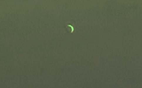 ����������ʿ����м���15ƪ