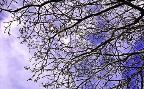 2023年常用美好的早安祝福语语录锦集36条