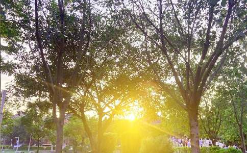 ��ʵ�á���ܰ���簲�������22��