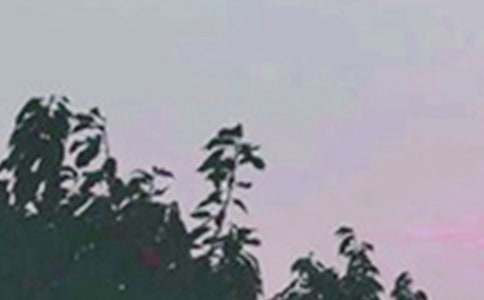 �����š�2022�����õ��簲΢��ף������54��