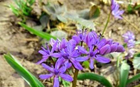 ʵ�õ����õ��簲΢��ף�����ϼ�55��