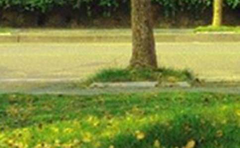 ��ѡ���õ��簲����Ȧף����ժ¼30��