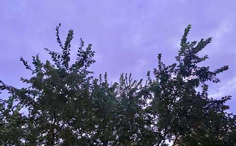 2023���̵����õ��簲΢��ף����26��