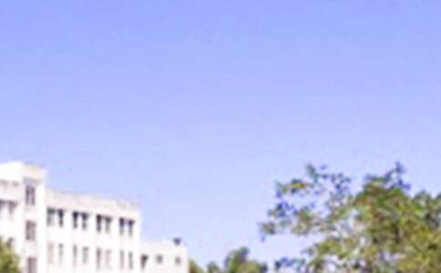 2024�꾭�����õ��簲΢��ף����29��