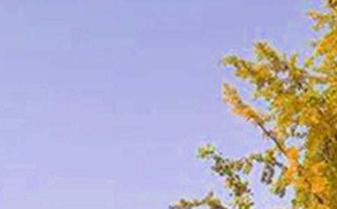 ����ܰ�簲ף�����ѡ60�䣩