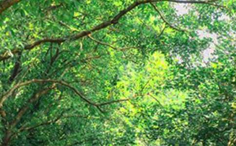 �������õ��簲΢��ף���Ｏ��52��