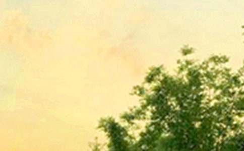 ��̵����õ��簲΢��ף����32��