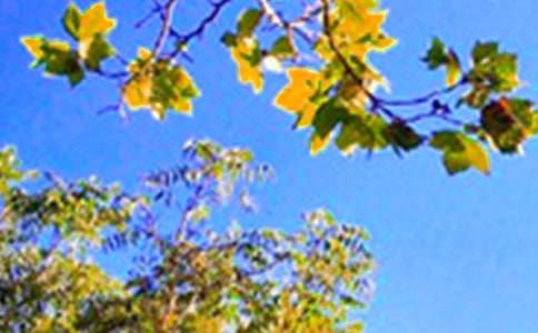 ���ر������õ��簲΢��ף����20��