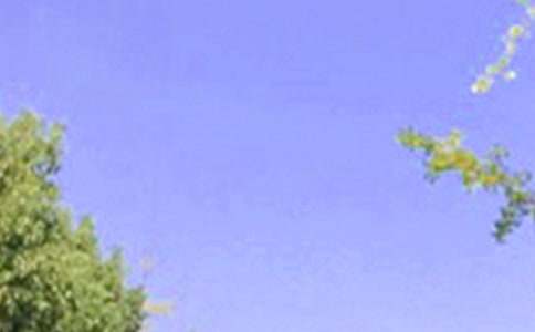 ͨ�����õ��簲΢��ף������31��