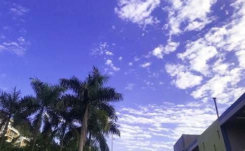 ��ʵ�á�2024�����õ��簲΢��ף����ժ¼47��