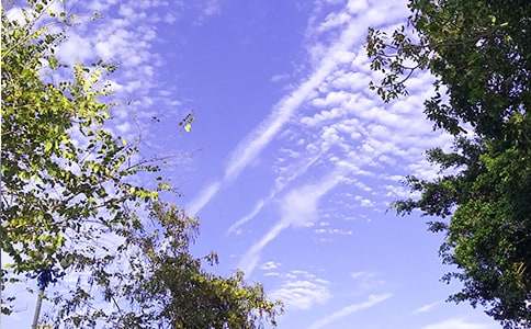 2024�곣�����õ��簲΢��ף����ժ¼39��