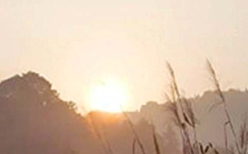 2022��������õ��簲΢��ף���Ｏ��61��