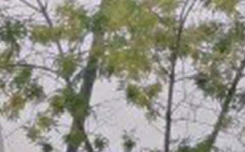 简单的美好的早安祝福语短信47条